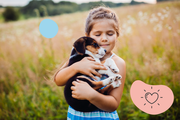 Éduquer un chiot, friandises pour chiot, récompenses chiot, saumon