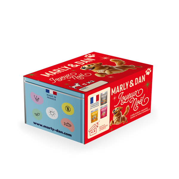 Coffret de Noël 2025 pour chien