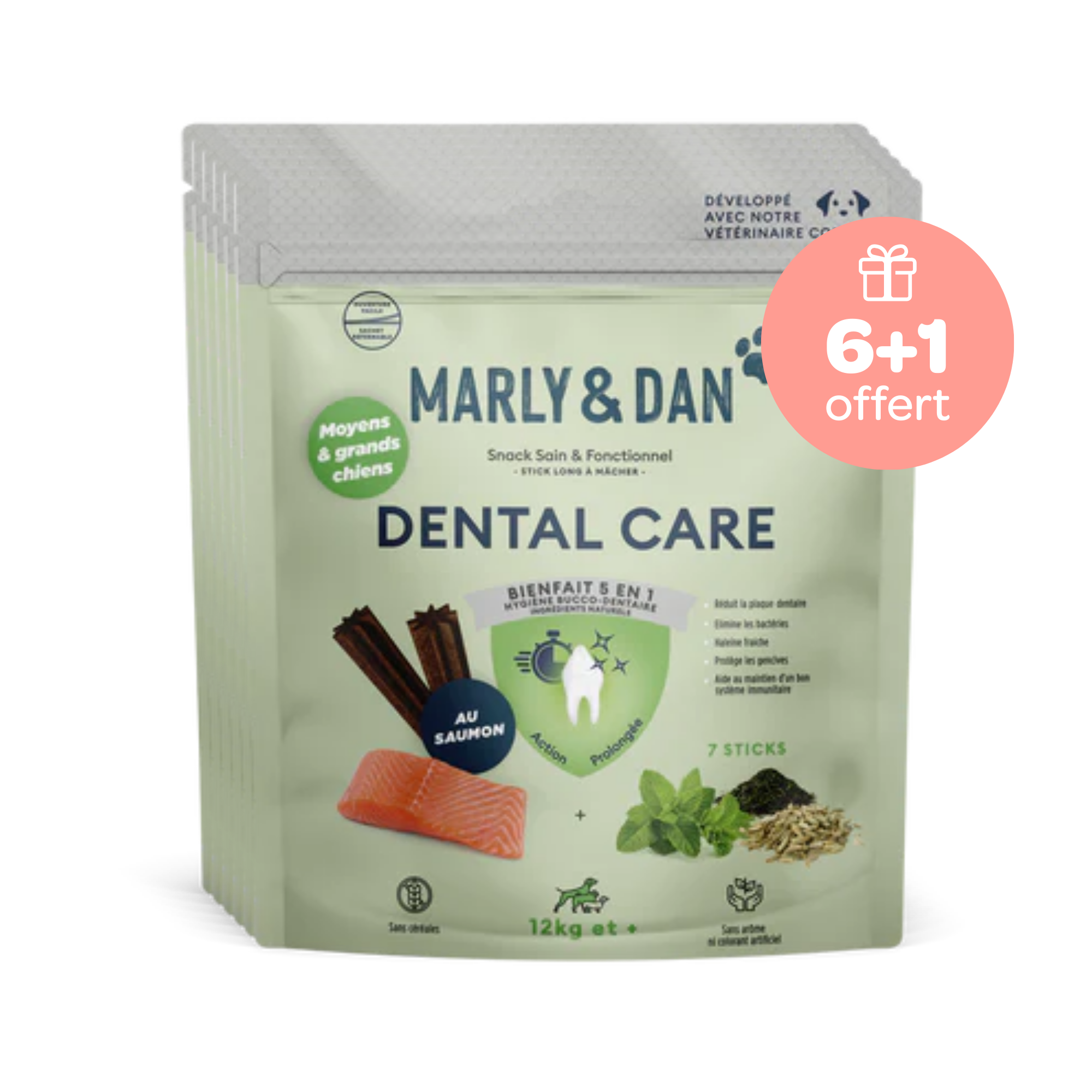 Offre Dental M-L 6+1