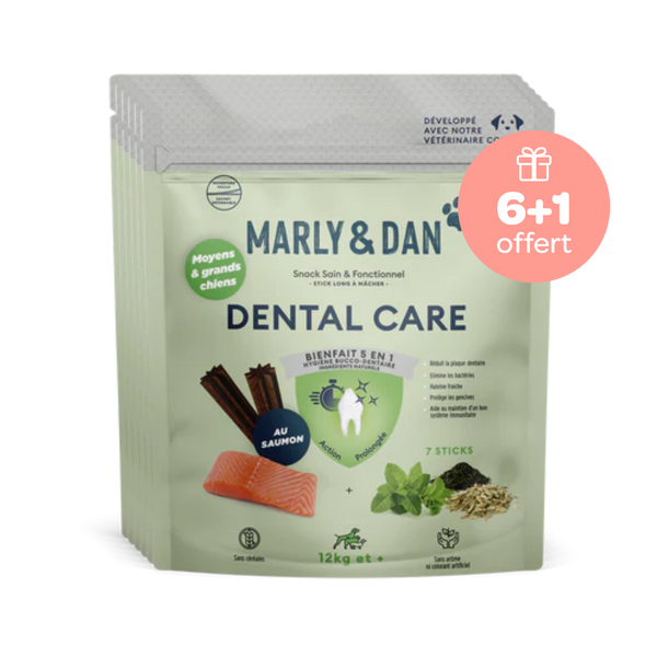 Offre Dental M-L 6+1