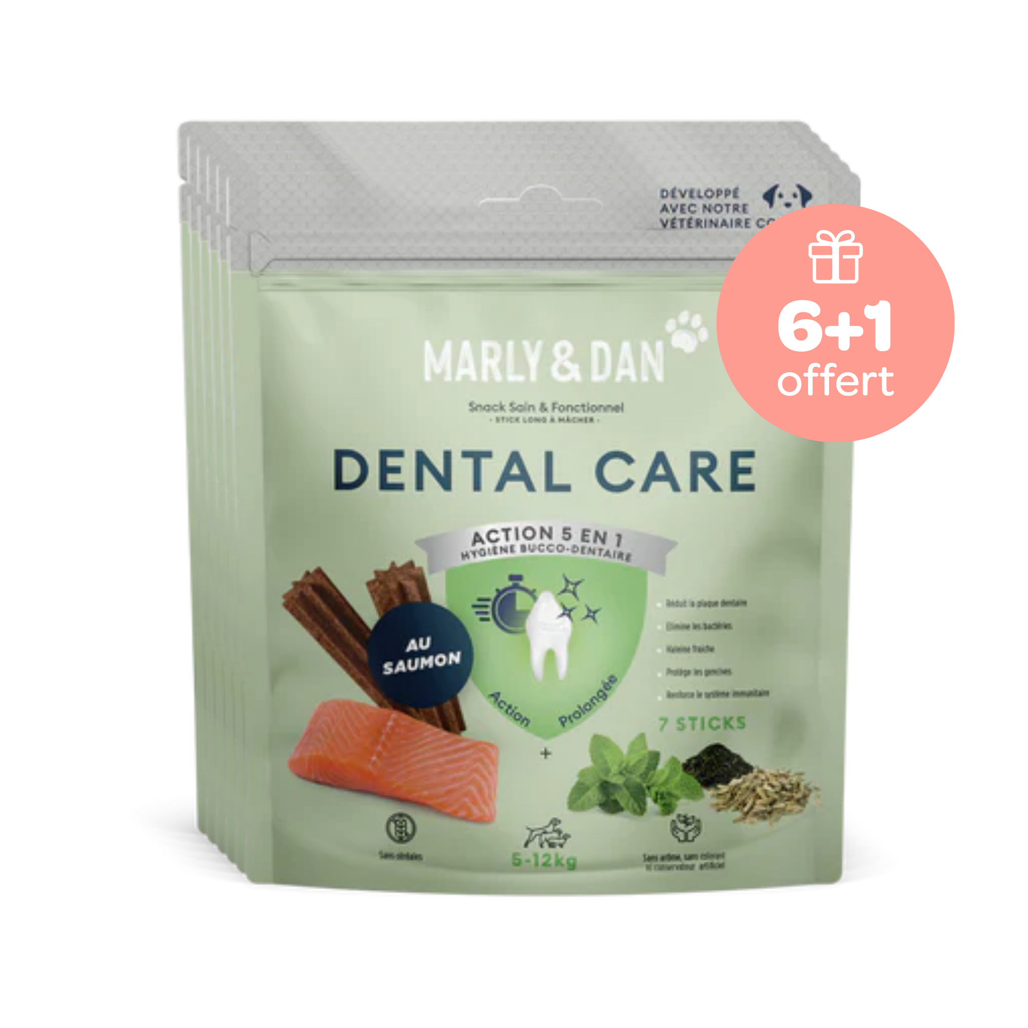 Offre Dental S 6+1