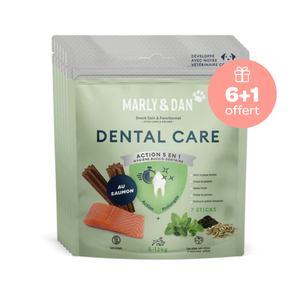 Offre Dental S 6+1