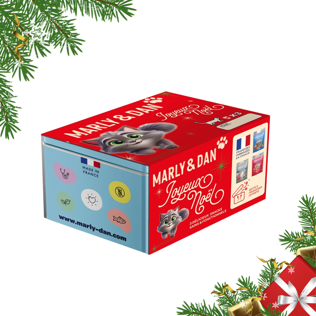 Coffret de Noël bleu pour chat