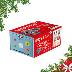 Coffret de Noël bleu pour chat