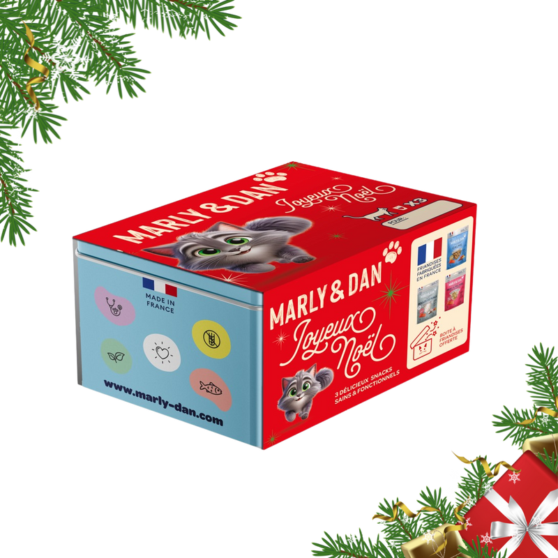 Coffret de Noël bleu pour chat