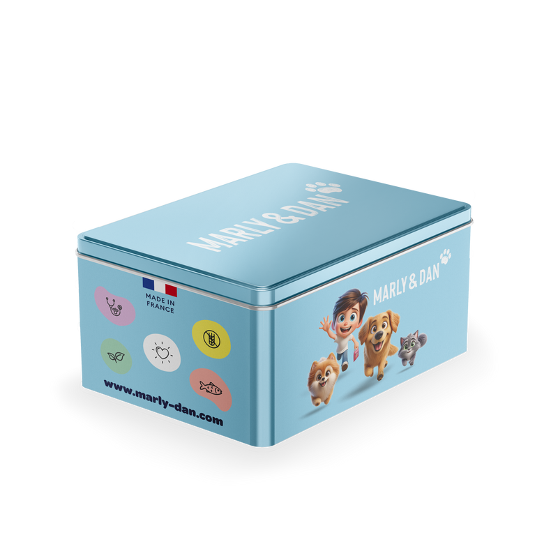 Coffret de Noël bleu pour chien