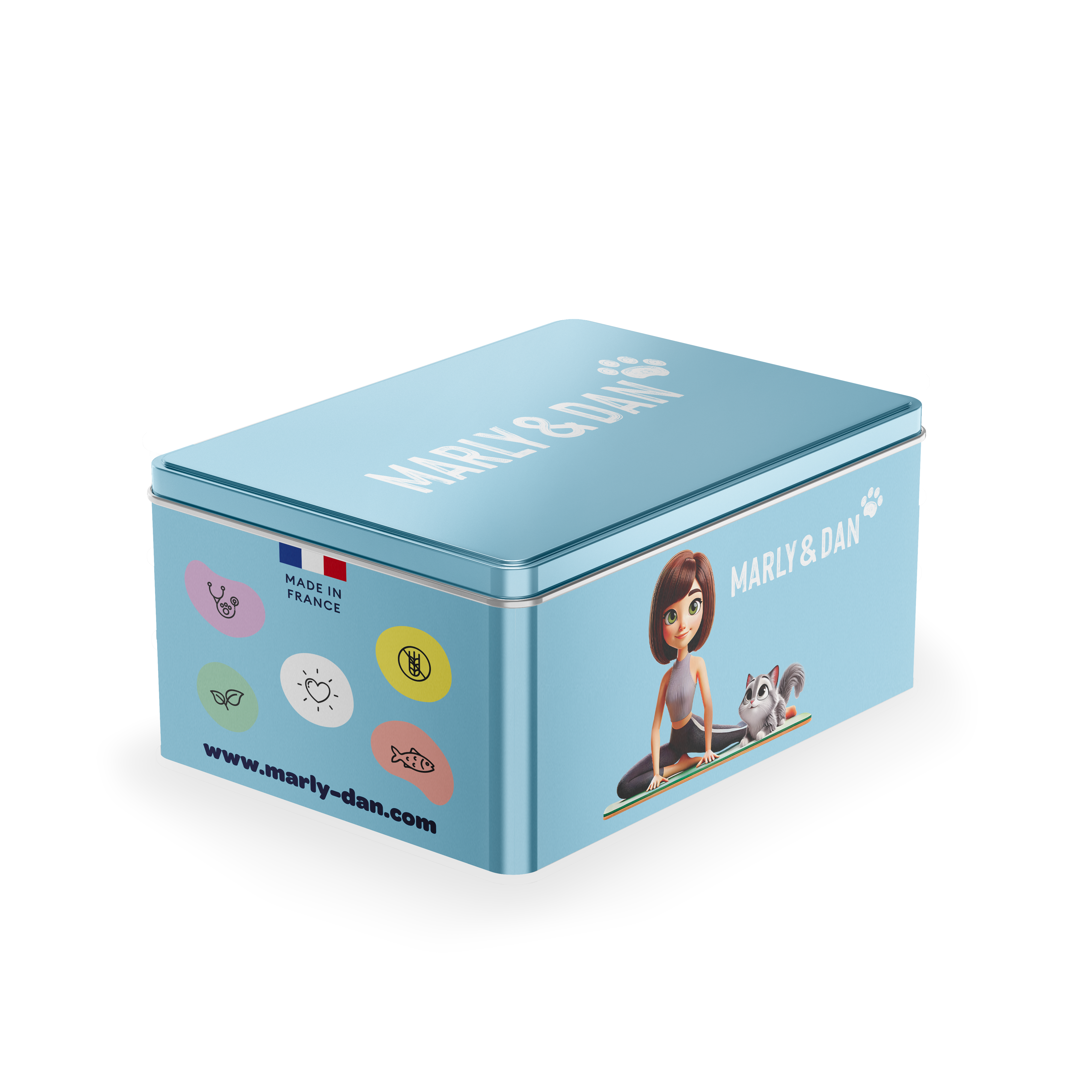 Coffret de Noël bleu pour chat