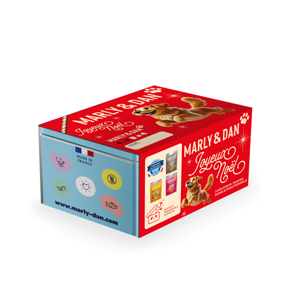 Coffret de Noël bleu pour chien