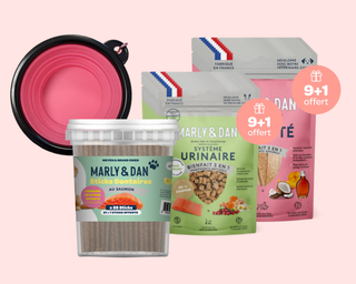 Toutes nos promotions