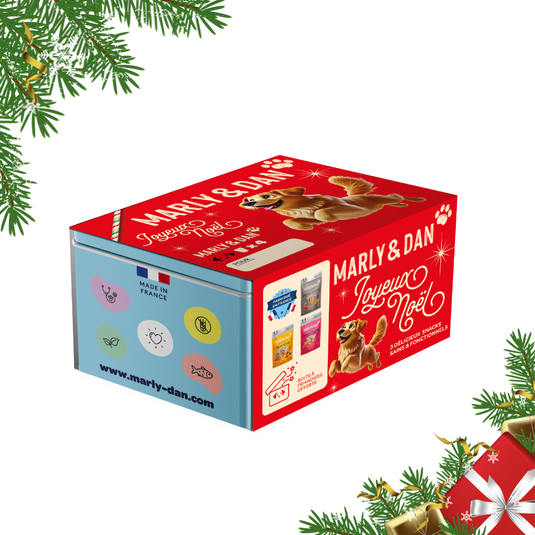 Coffret de Noël bleu pour chien