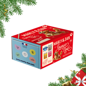 Coffret de Noël bleu pour chien