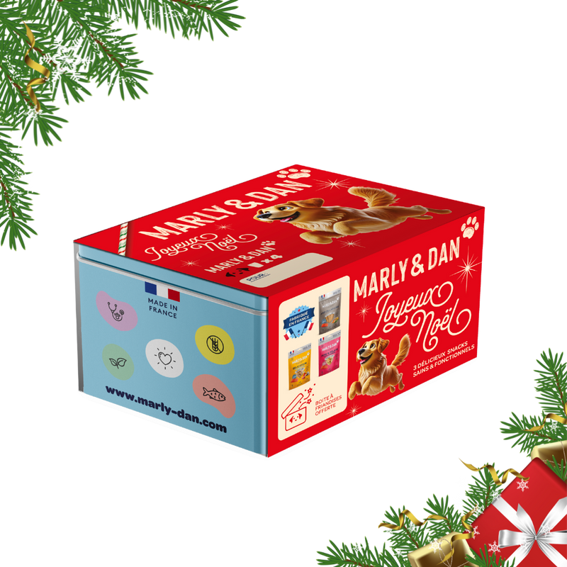 Coffret de Noël bleu pour chien