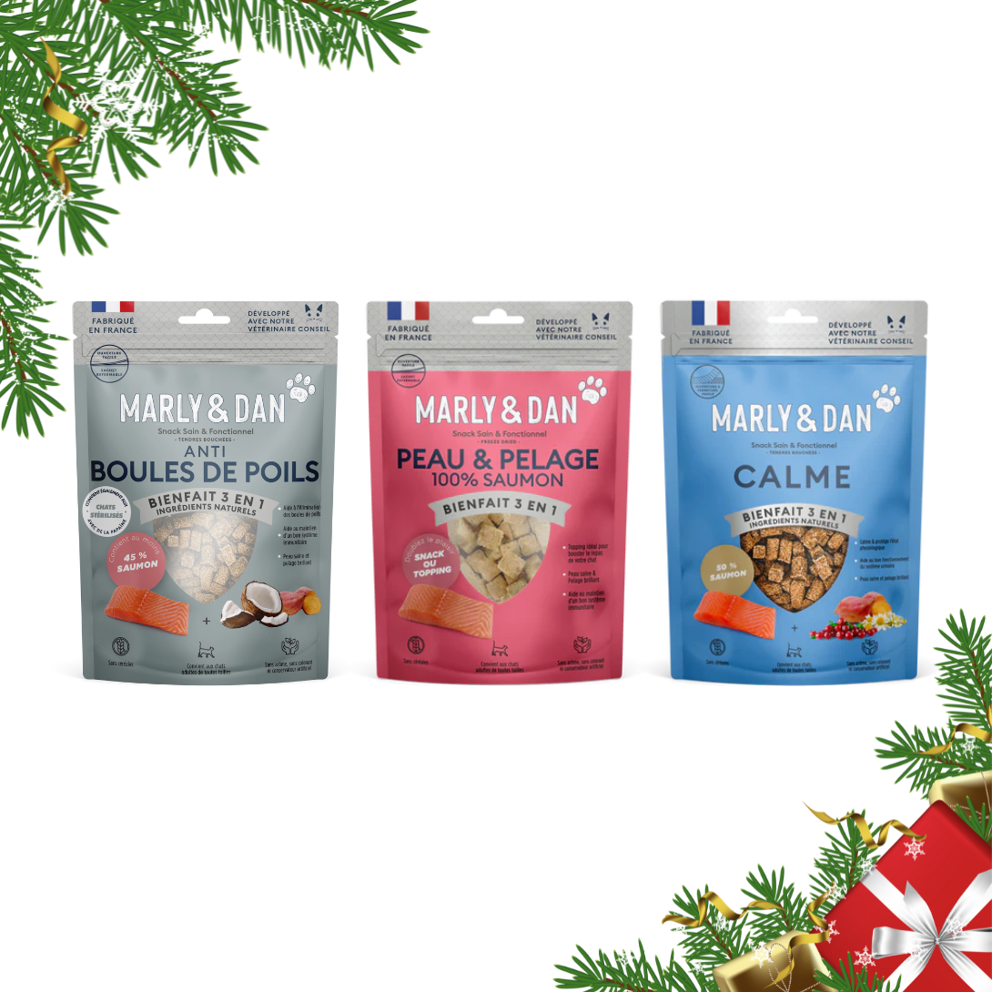 Coffret de Noël bleu pour chat