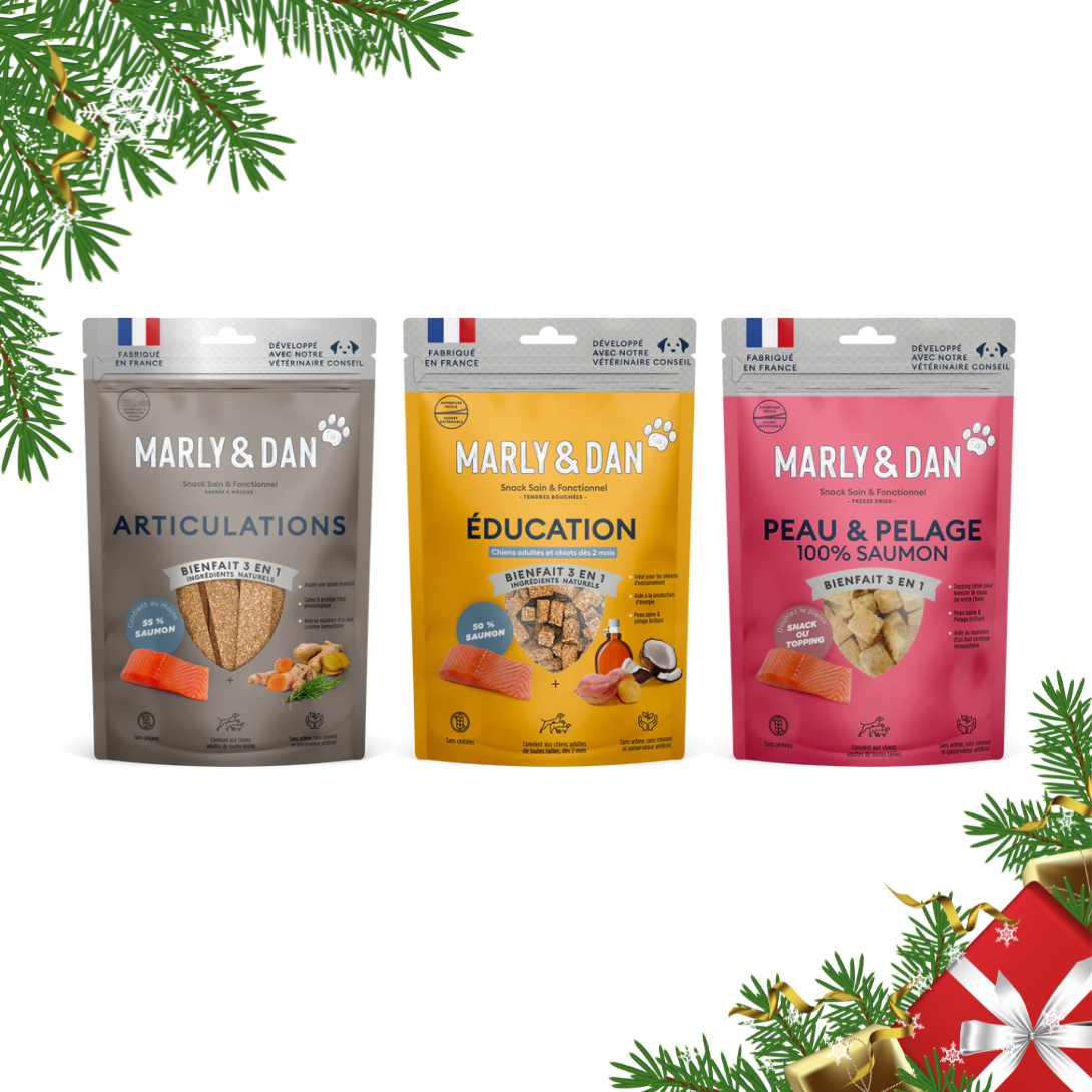 Coffret de Noël bleu pour chien