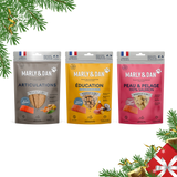 Coffret de Noël bleu pour chien