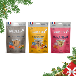 Coffret de Noël bleu pour chien