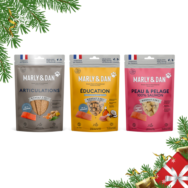 Coffret de Noël bleu pour chien