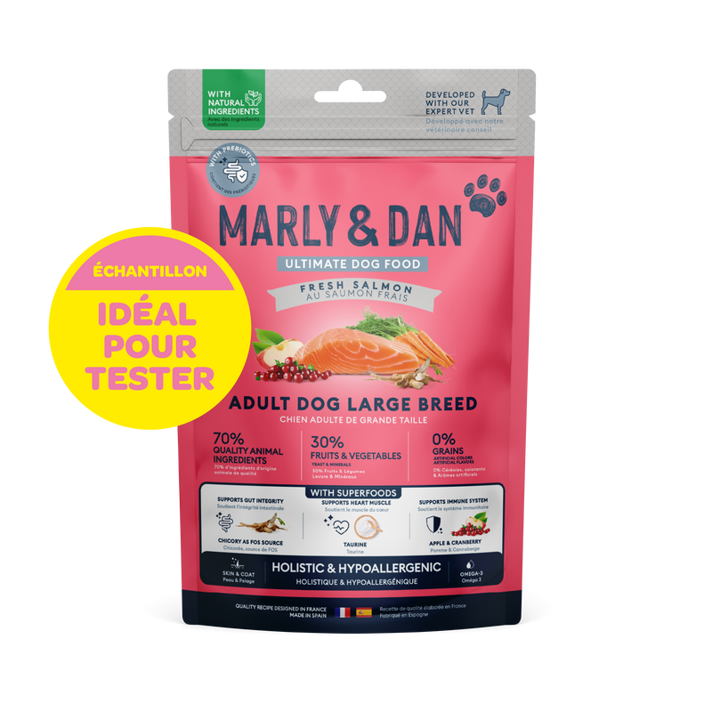 Echantillon de Croquettes Chien Adulte de Grande Taille