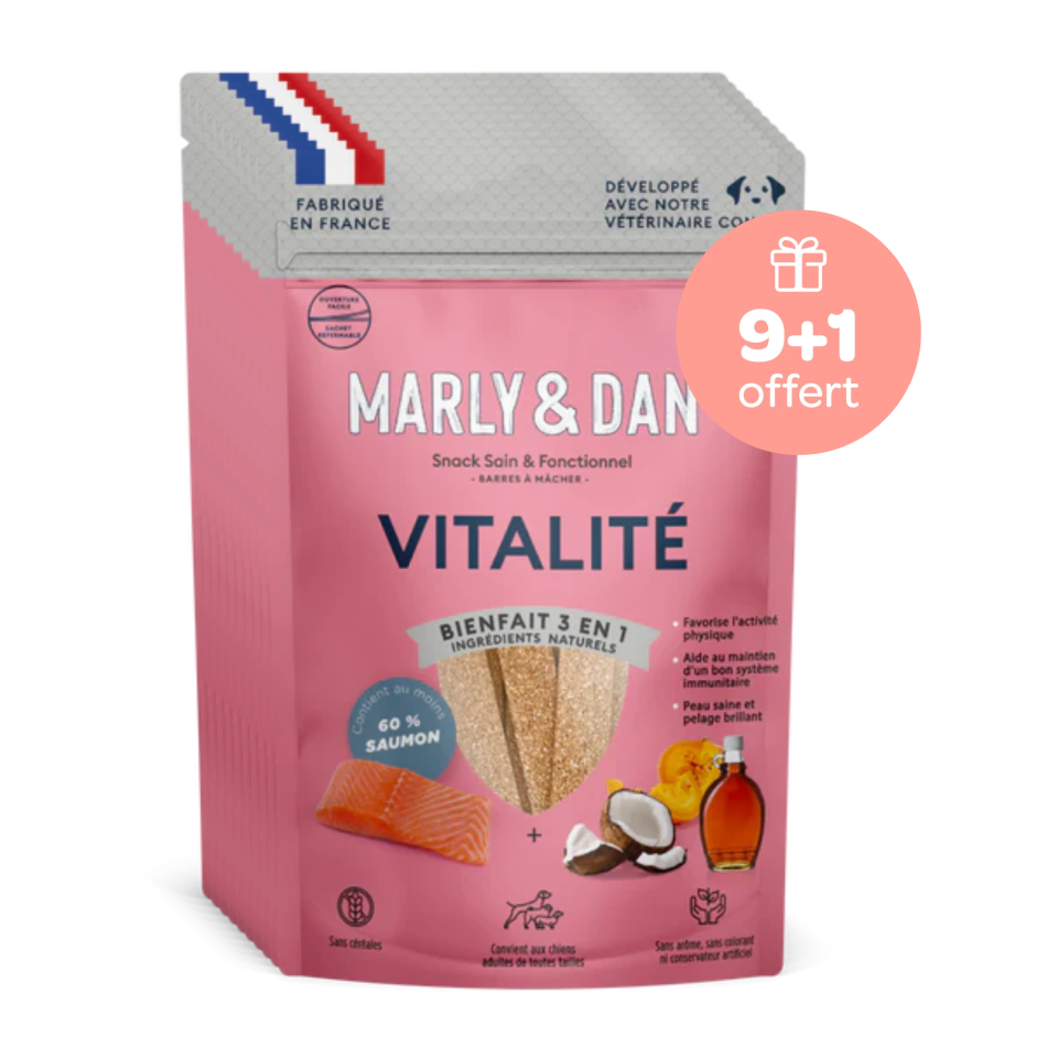 Friandises Vitalité pour Chien 9+1