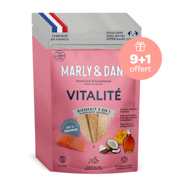 Friandises Vitalité pour Chien 9+1