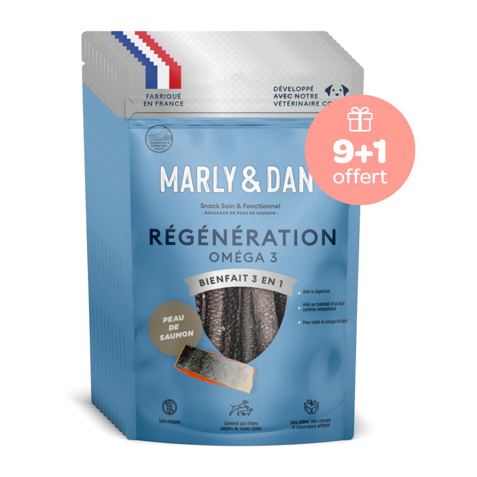 Peaux de Saumon Régénération pour Chien 9+1