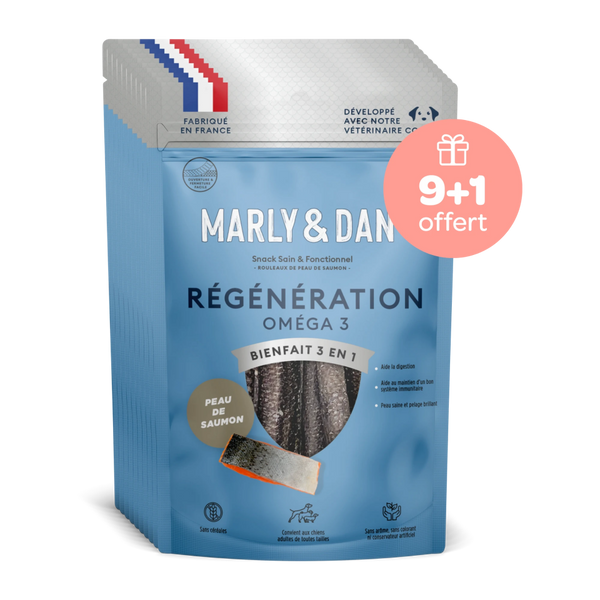 Peaux de Saumon Régénération pour Chien 9+1