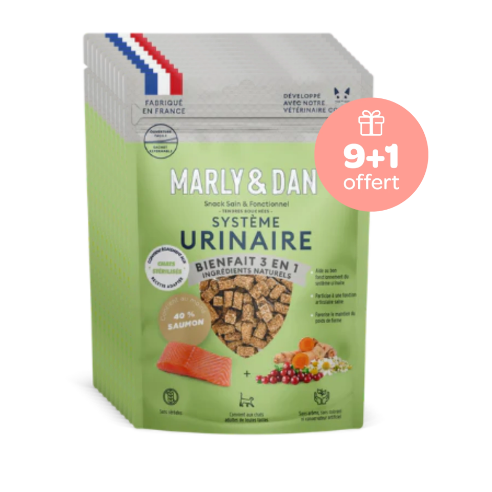 Friandises Urinaire pour chat 9+1