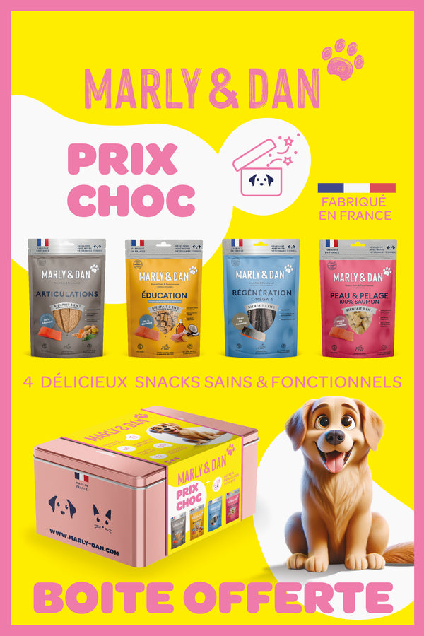 Hundegeräte für Hunde - Marly & Dan