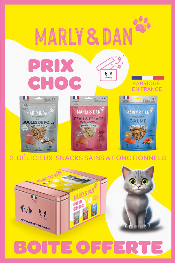 Katzen für Katzen - Marly & Dan