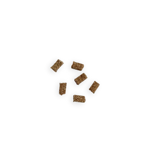 Friandises Digestion pour Chien