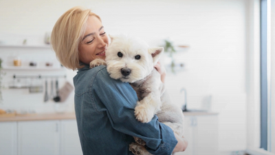 Alimentation saine pour chiens et chats