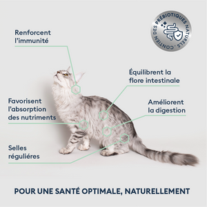 Croquettes chat adulte stérilisé