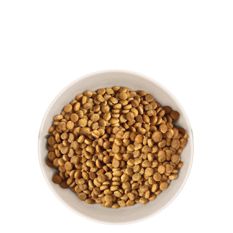 Croquettes chat adulte stérilisé