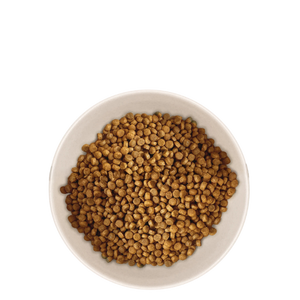 Croquettes pour chaton