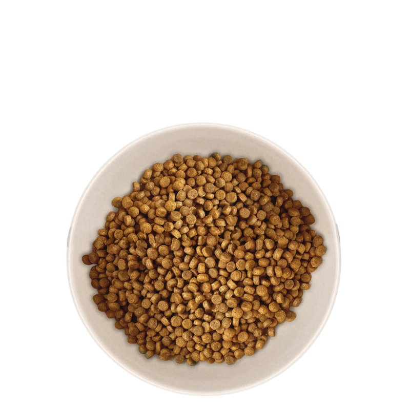 Croquettes pour chaton