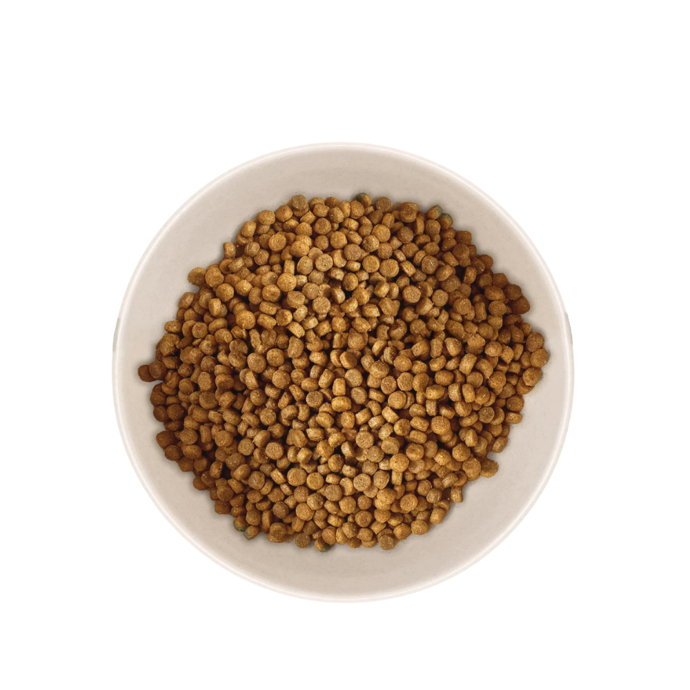 Échantillon de Croquettes pour Chaton