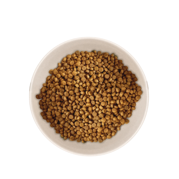Échantillon de Croquettes pour Chaton