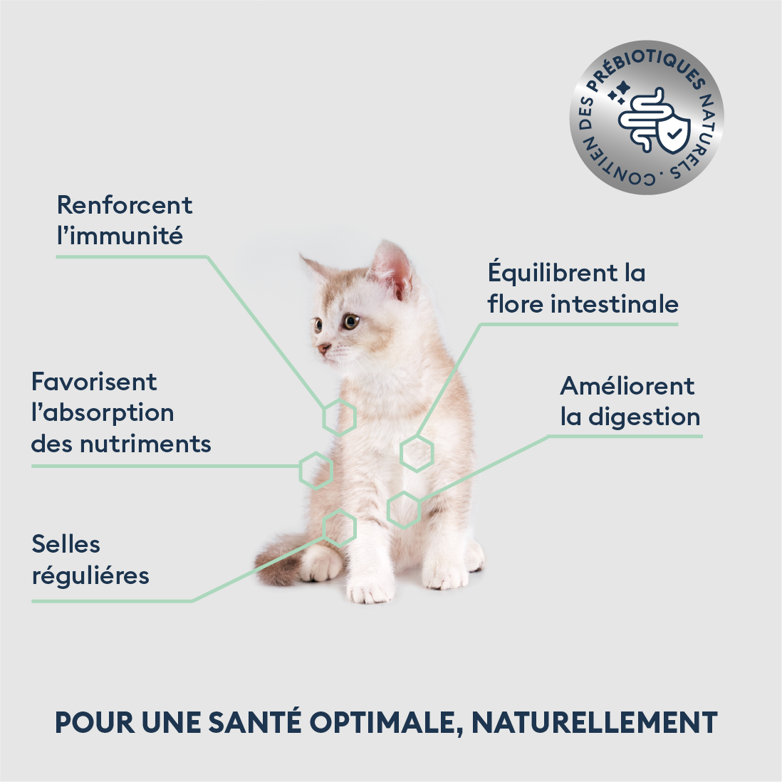 Échantillon de Croquettes pour Chaton