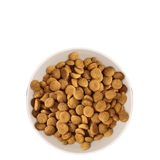 Croquettes Chien Adulte de Grande Taille