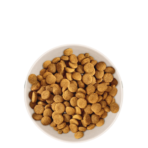 Croquettes Chien Adulte de Grande Taille