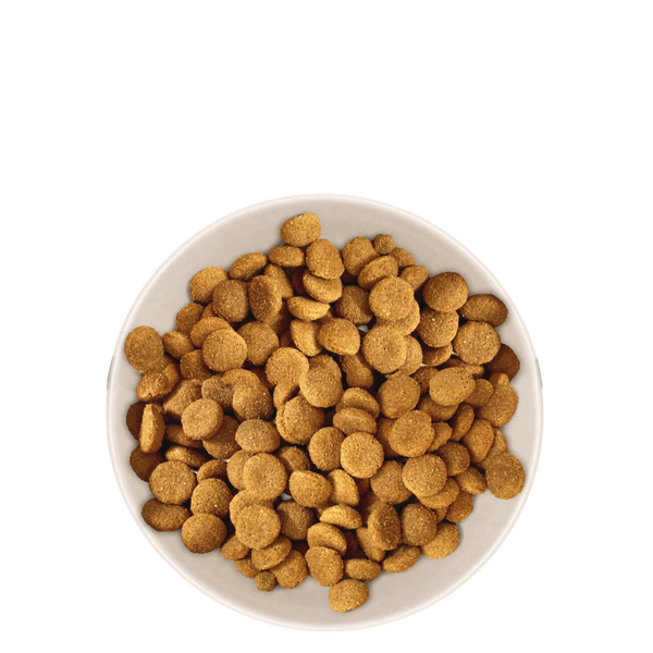 Croquettes Chien Adulte de Grande Taille
