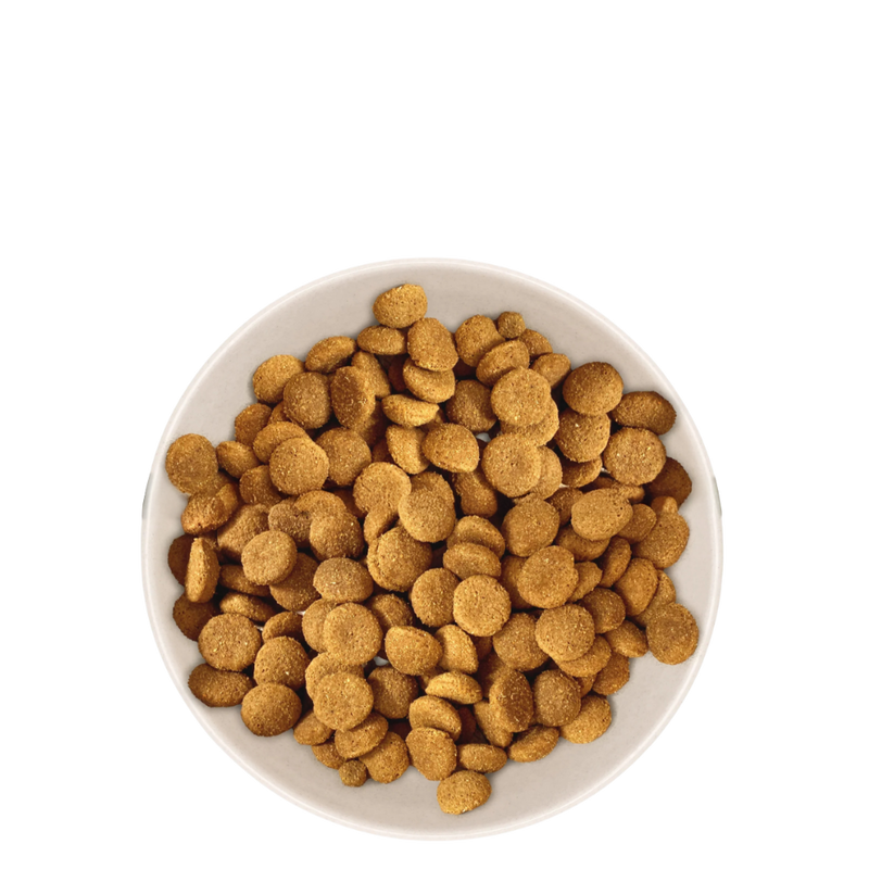 Croquettes Chien Adulte de Grande Taille