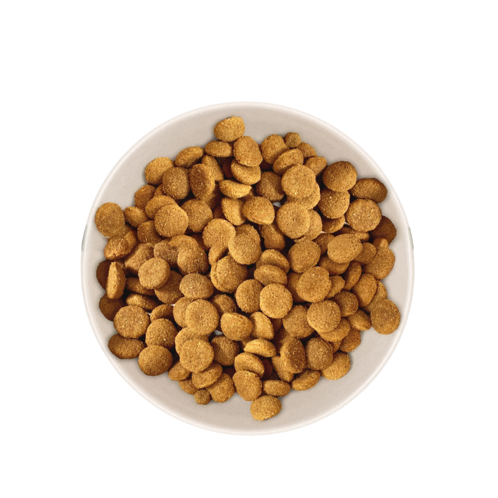 Échantillon de Croquettes Chien Adulte Grand