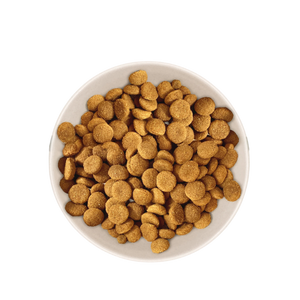 Échantillon de Croquettes Chien Adulte Grand