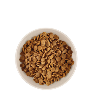Croquettes Chien Adulte de Moyenne Taille
