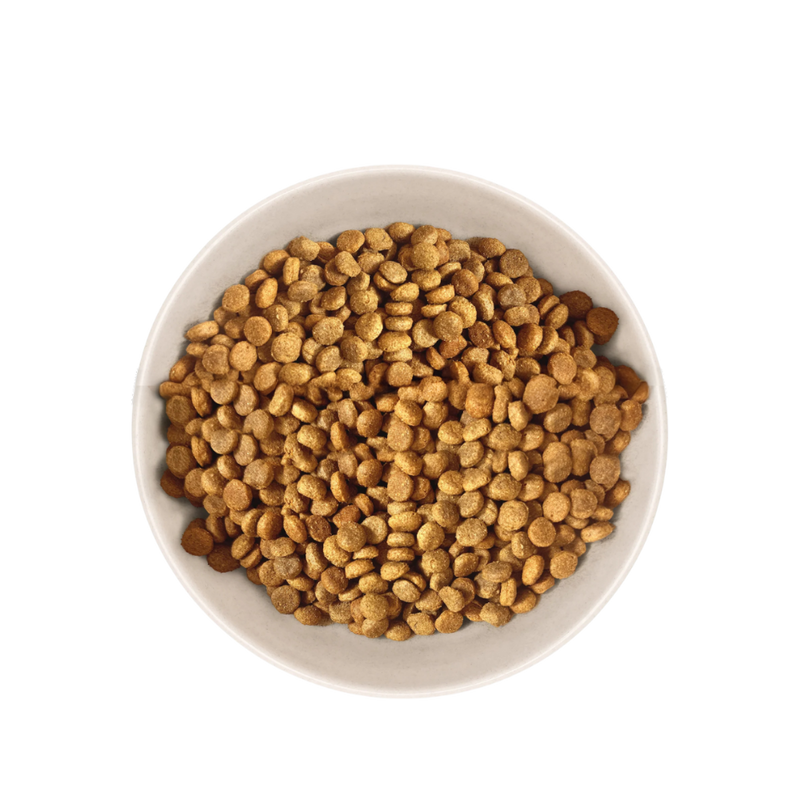 Échantillon de Croquettes Chat Adulte Stérilisé