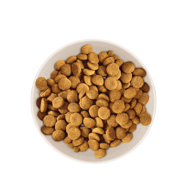 Échantillon de Croquettes Chien Senior Moyen & Grand