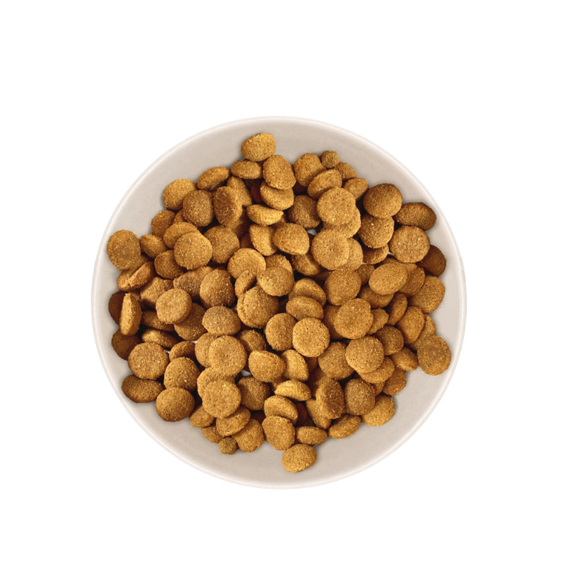 Échantillon de Croquettes Chien Senior Moyen & Grand