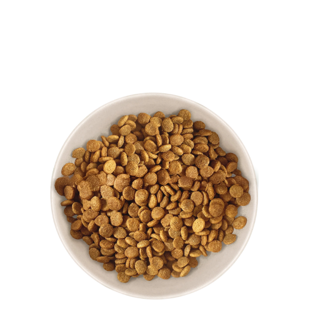 Croquettes Chiot Moyenne & Grande Taille