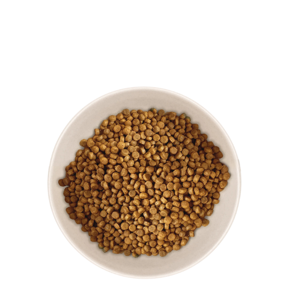 Croquettes Chiot de Petite Taille